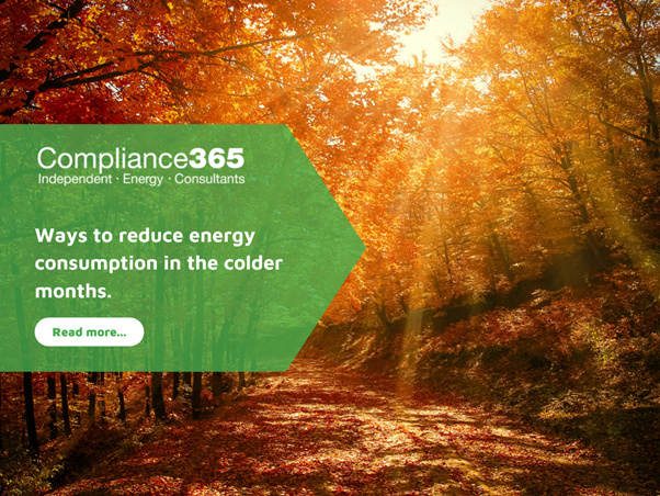 Ways to reduce energy consumption in the colder months